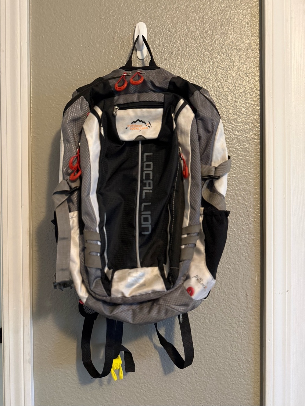 Local Lion Black & Gray Outdoor Backpack with Red Accents